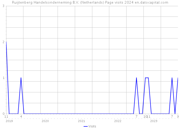 Ruijtenberg Handelsonderneming B.V. (Netherlands) Page visits 2024 