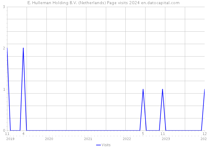 E. Hulleman Holding B.V. (Netherlands) Page visits 2024 