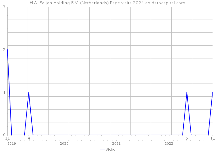H.A. Feijen Holding B.V. (Netherlands) Page visits 2024 
