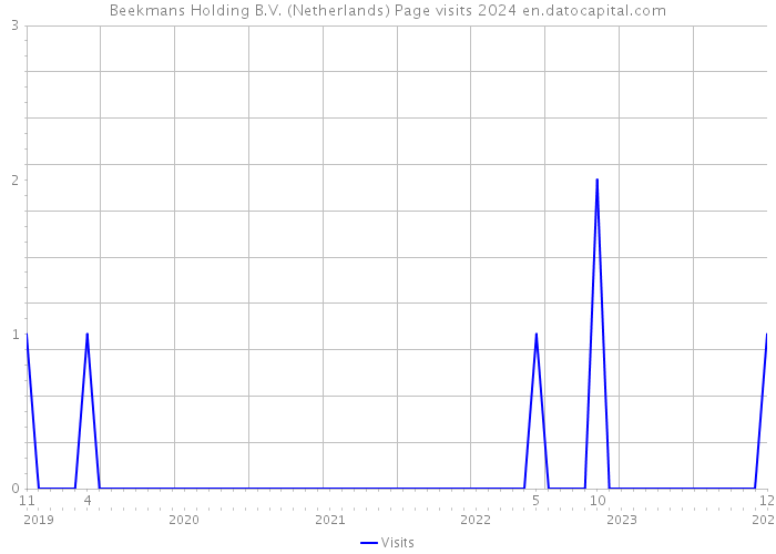 Beekmans Holding B.V. (Netherlands) Page visits 2024 
