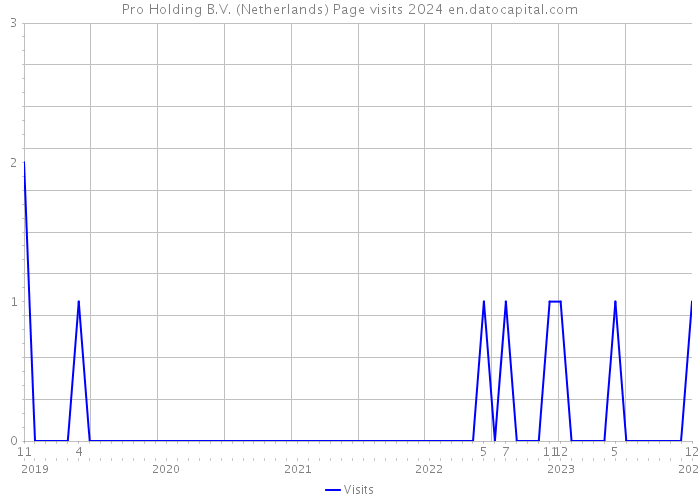 Pro Holding B.V. (Netherlands) Page visits 2024 