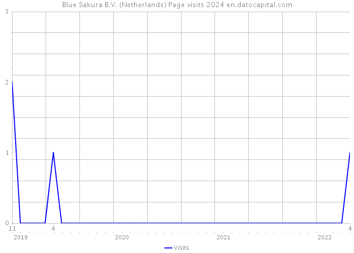 Blue Sakura B.V. (Netherlands) Page visits 2024 