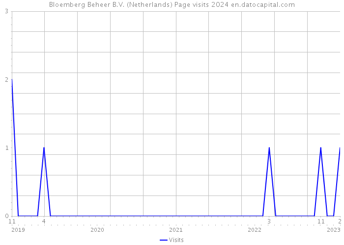 Bloemberg Beheer B.V. (Netherlands) Page visits 2024 