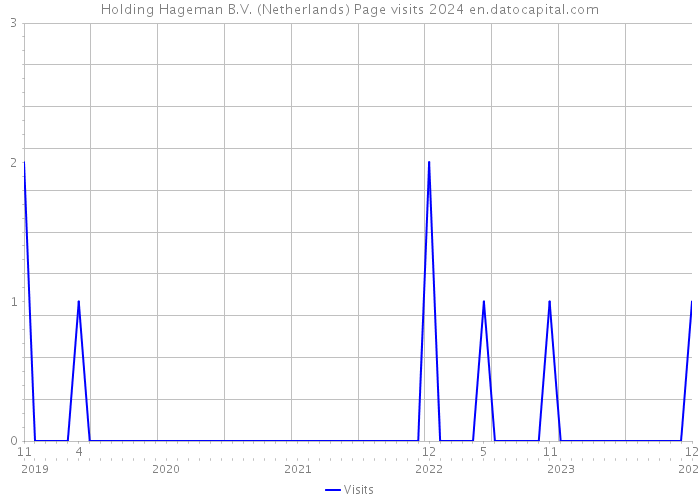Holding Hageman B.V. (Netherlands) Page visits 2024 