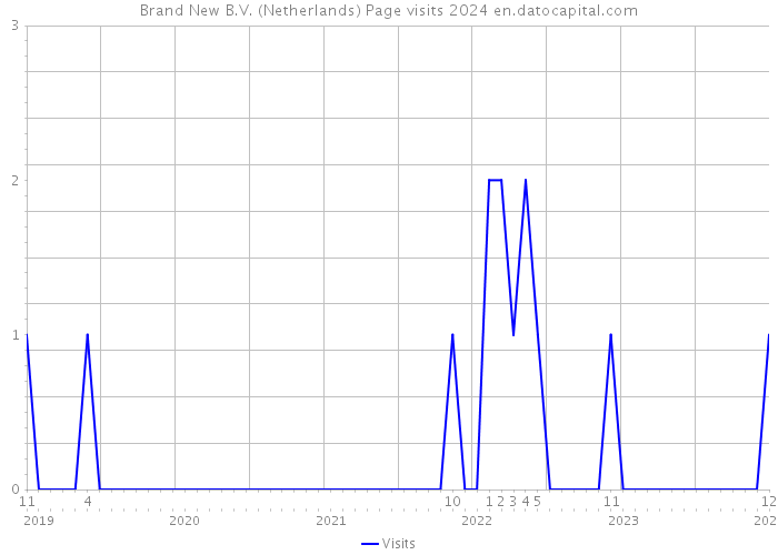 Brand New B.V. (Netherlands) Page visits 2024 