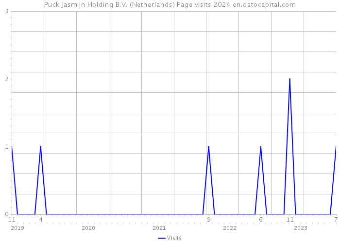 Puck Jasmijn Holding B.V. (Netherlands) Page visits 2024 