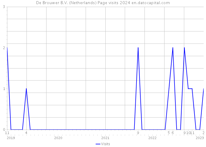 De Brouwer B.V. (Netherlands) Page visits 2024 
