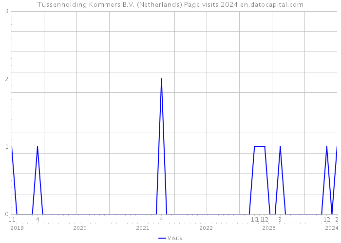 Tussenholding Kommers B.V. (Netherlands) Page visits 2024 