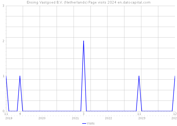 Ensing Vastgoed B.V. (Netherlands) Page visits 2024 