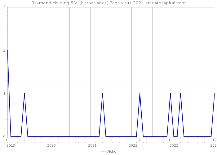 Raymond Holding B.V. (Netherlands) Page visits 2024 