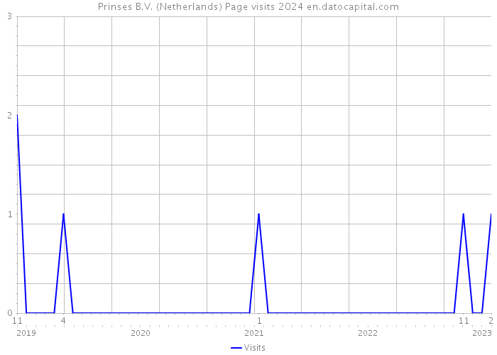 Prinses B.V. (Netherlands) Page visits 2024 