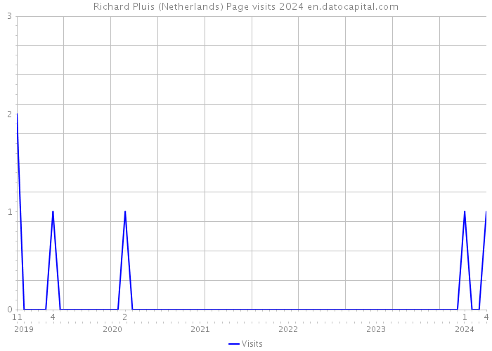 Richard Pluis (Netherlands) Page visits 2024 