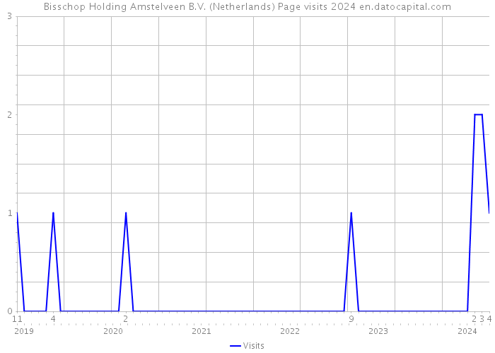 Bisschop Holding Amstelveen B.V. (Netherlands) Page visits 2024 