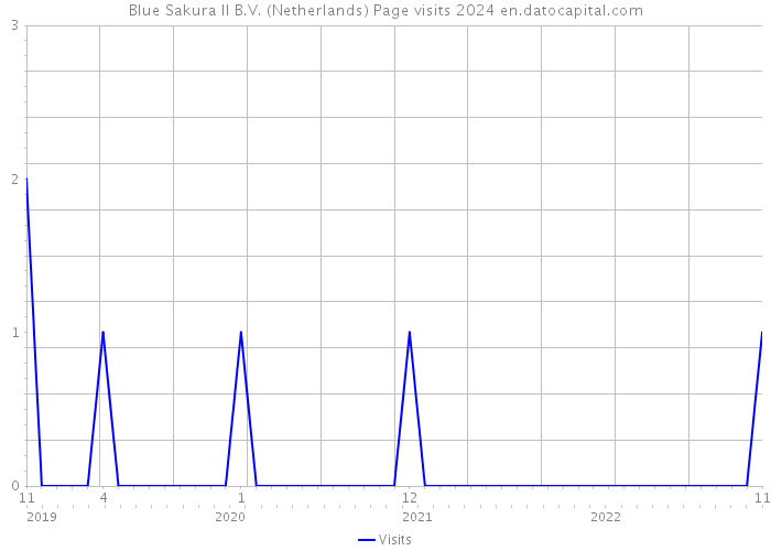 Blue Sakura II B.V. (Netherlands) Page visits 2024 