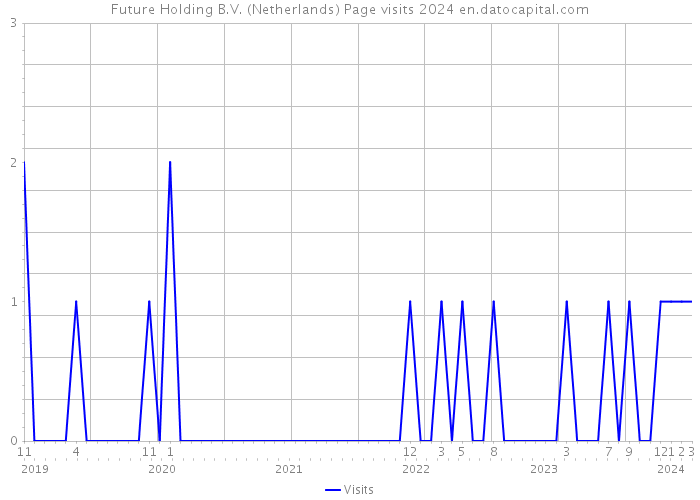 Future Holding B.V. (Netherlands) Page visits 2024 