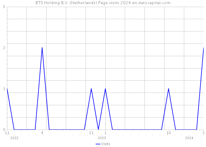 BTS Holding B.V. (Netherlands) Page visits 2024 