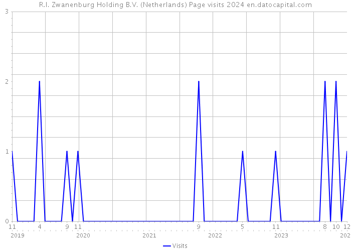 R.I. Zwanenburg Holding B.V. (Netherlands) Page visits 2024 