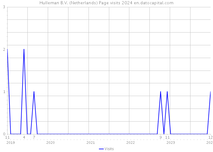 Hulleman B.V. (Netherlands) Page visits 2024 