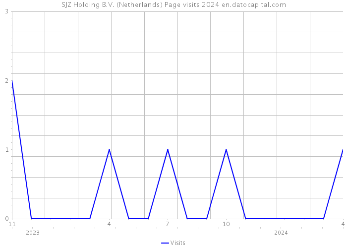 SJZ Holding B.V. (Netherlands) Page visits 2024 