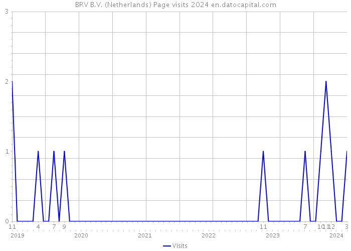 BRV B.V. (Netherlands) Page visits 2024 