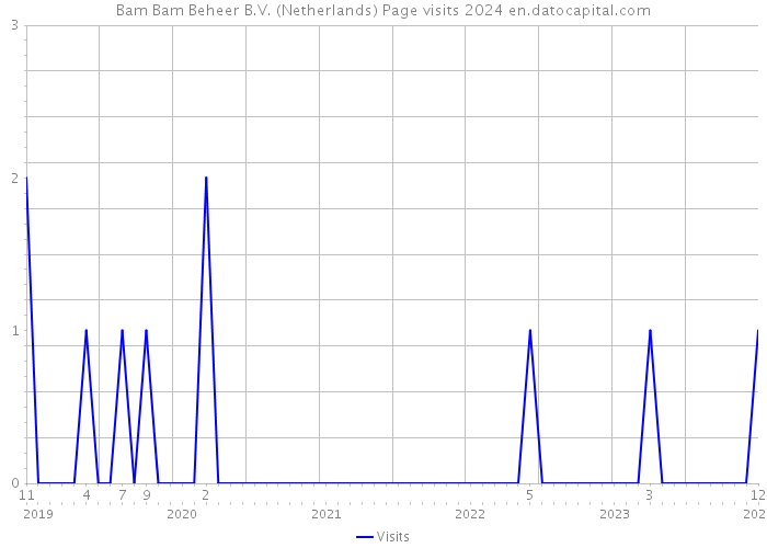 Bam Bam Beheer B.V. (Netherlands) Page visits 2024 