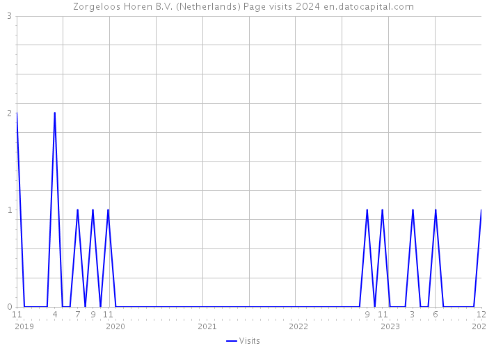 Zorgeloos Horen B.V. (Netherlands) Page visits 2024 