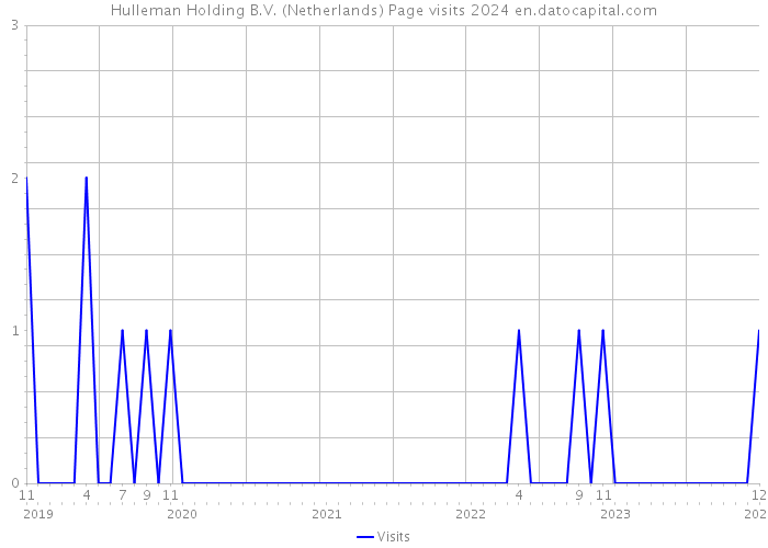 Hulleman Holding B.V. (Netherlands) Page visits 2024 