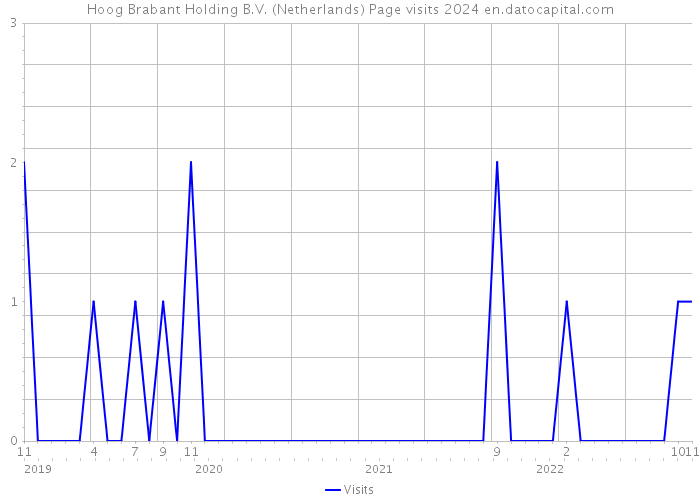 Hoog Brabant Holding B.V. (Netherlands) Page visits 2024 