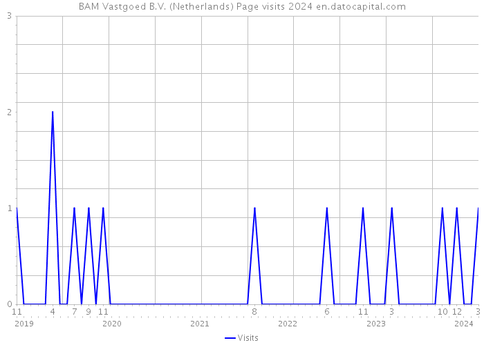 BAM Vastgoed B.V. (Netherlands) Page visits 2024 