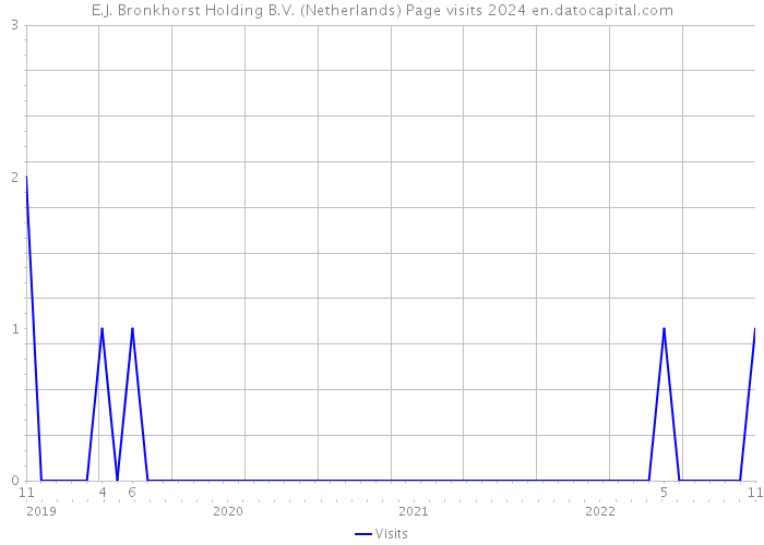 E.J. Bronkhorst Holding B.V. (Netherlands) Page visits 2024 