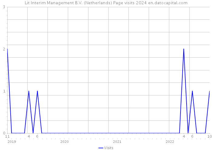 Lit Interim Management B.V. (Netherlands) Page visits 2024 