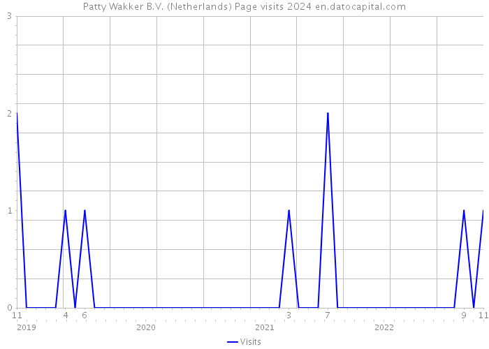 Patty Wakker B.V. (Netherlands) Page visits 2024 