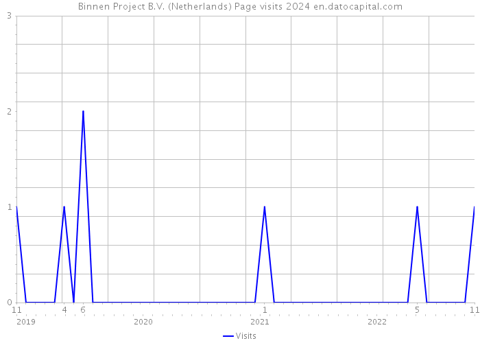 Binnen Project B.V. (Netherlands) Page visits 2024 
