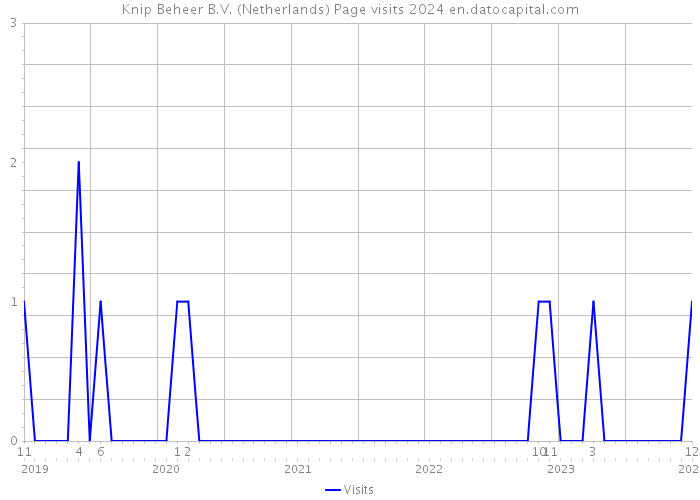Knip Beheer B.V. (Netherlands) Page visits 2024 