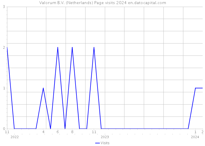 Valorum B.V. (Netherlands) Page visits 2024 