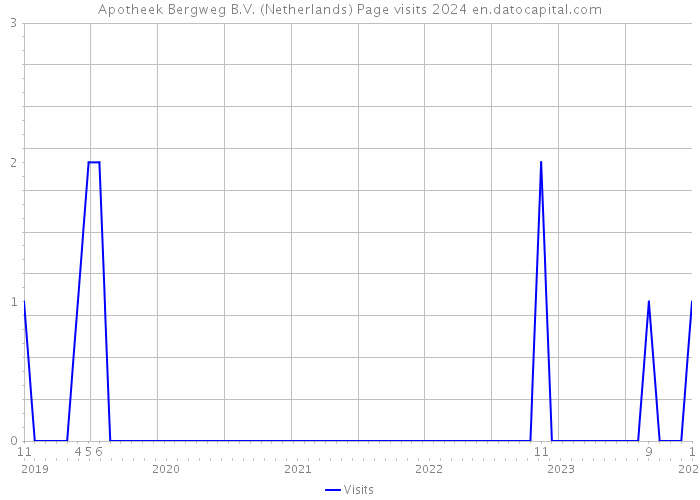 Apotheek Bergweg B.V. (Netherlands) Page visits 2024 