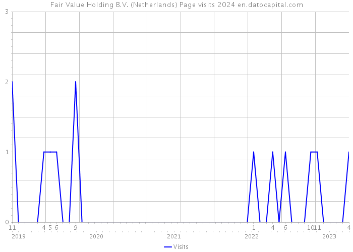 Fair Value Holding B.V. (Netherlands) Page visits 2024 