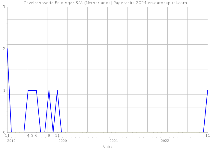 Gevelrenovatie Baldinger B.V. (Netherlands) Page visits 2024 