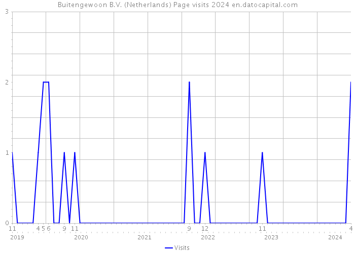 Buitengewoon B.V. (Netherlands) Page visits 2024 