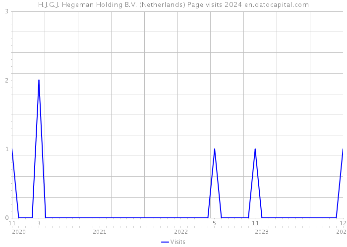 H.J.G.J. Hegeman Holding B.V. (Netherlands) Page visits 2024 