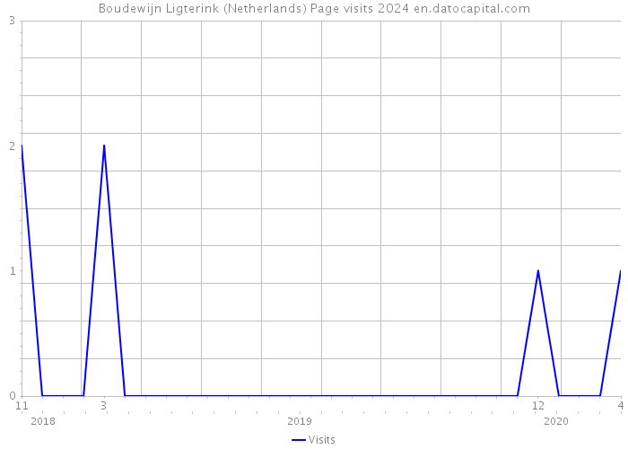 Boudewijn Ligterink (Netherlands) Page visits 2024 