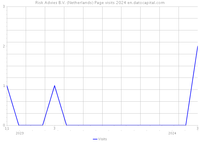 Risk Advies B.V. (Netherlands) Page visits 2024 