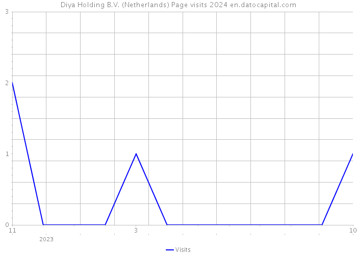Diya Holding B.V. (Netherlands) Page visits 2024 