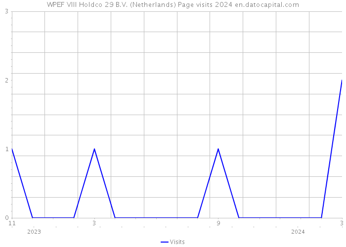 WPEF VIII Holdco 29 B.V. (Netherlands) Page visits 2024 
