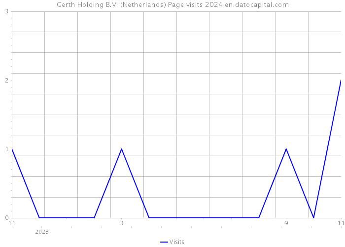 Gerth Holding B.V. (Netherlands) Page visits 2024 