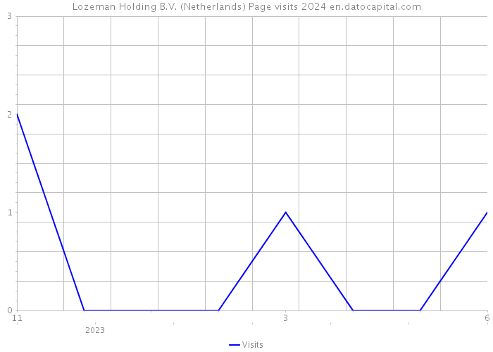 Lozeman Holding B.V. (Netherlands) Page visits 2024 