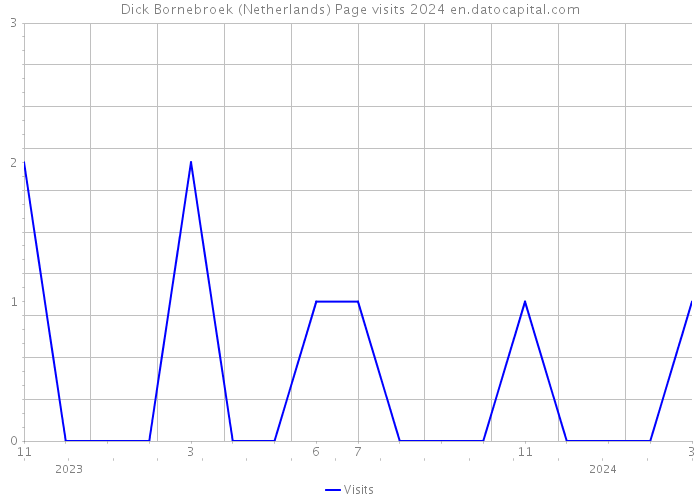 Dick Bornebroek (Netherlands) Page visits 2024 