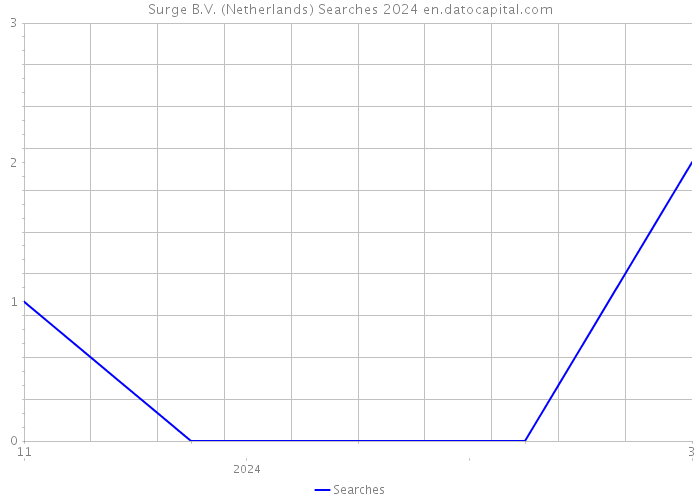 Surge B.V. (Netherlands) Searches 2024 