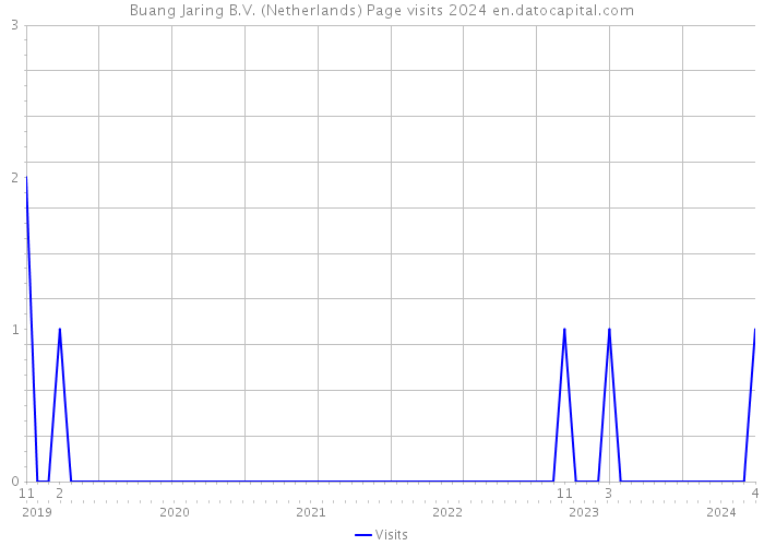 Buang Jaring B.V. (Netherlands) Page visits 2024 