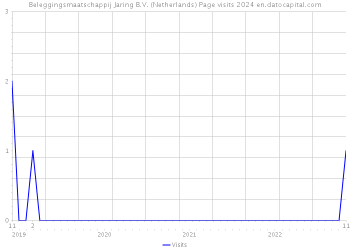 Beleggingsmaatschappij Jaring B.V. (Netherlands) Page visits 2024 